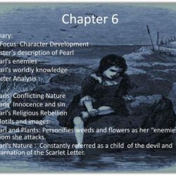 Chapter 8 summary of the scarlet letter