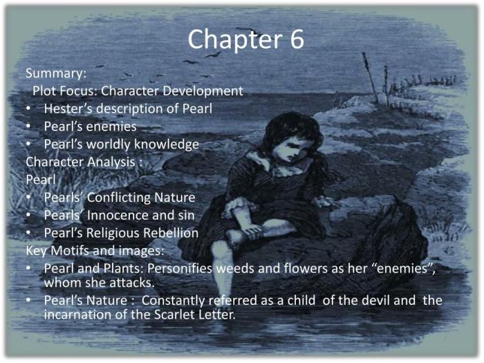 Chapter 8 summary of the scarlet letter