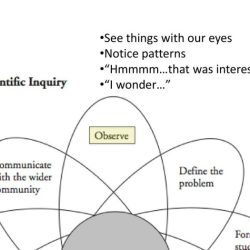 Scientific inquiry worksheet answer key assignment method packet scientists data excel db