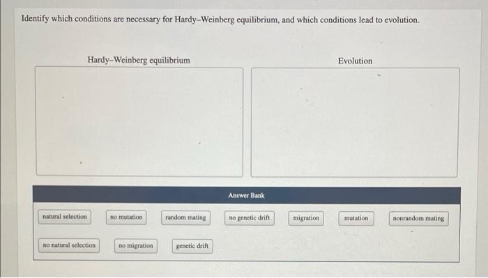 Hardy-weinberg equilibrium and the eastern gray squirrel answer key