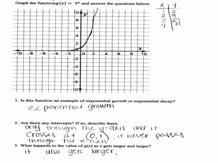 Graphing exponential functions worksheet answers